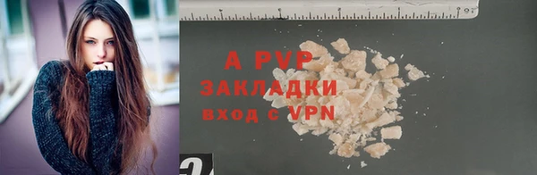 спиды Нефтекумск
