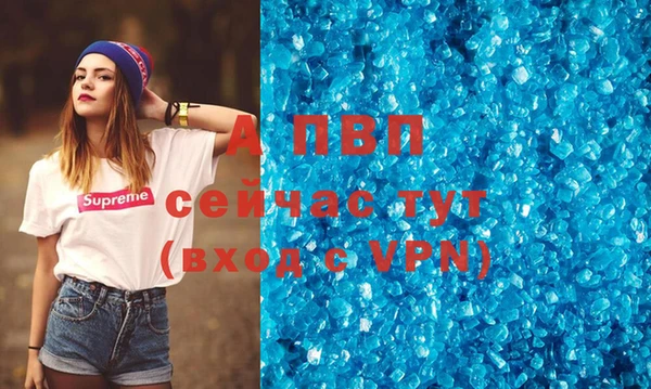 ECSTASY Новодвинск