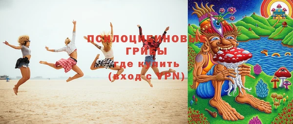 спиды Нефтекумск