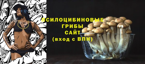 спиды Нефтекумск