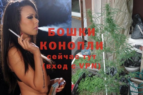 каннабис Новозыбков