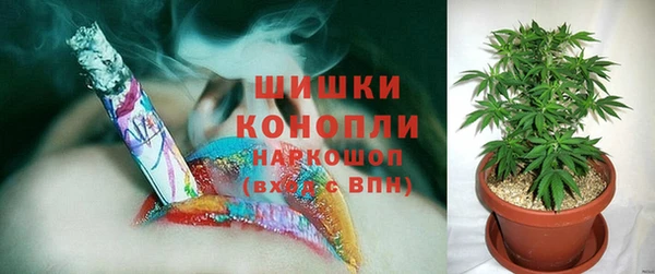 спиды Нефтекумск