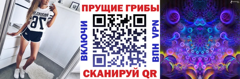 Галлюциногенные грибы GOLDEN TEACHER  blacksprut вход  Наволоки  как найти наркотики 